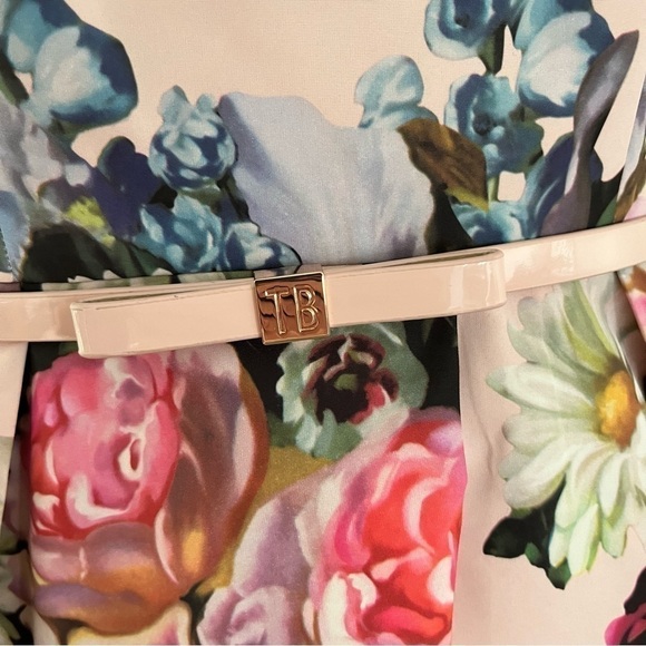 Ted BAKER DEAVON WOMEN'S OIL PAINTING Floral Sleeveless Belted DRESS NUDE PINK 6 - Picture 12 of 15